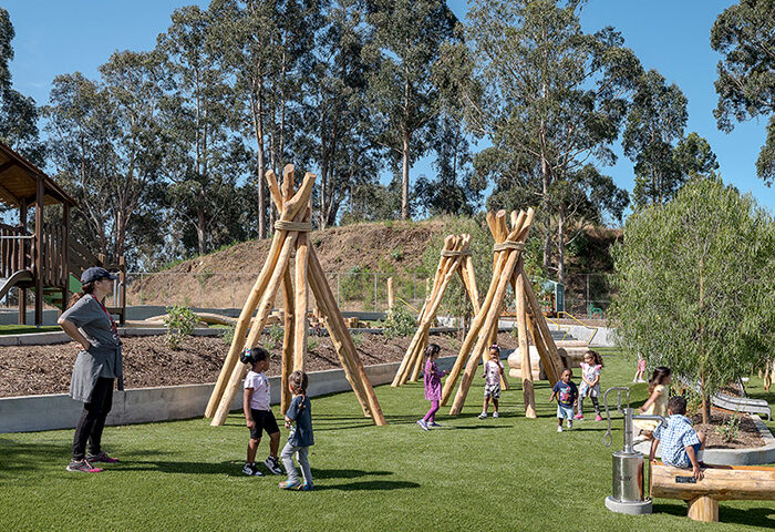 WholeTrees Structures Natural Playground Equipment