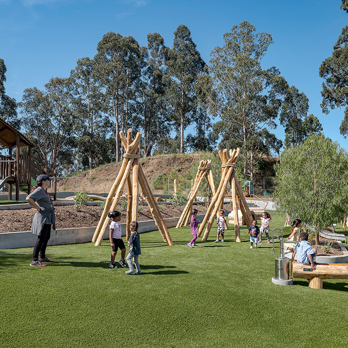 WholeTrees Structures Natural Playground Equipment